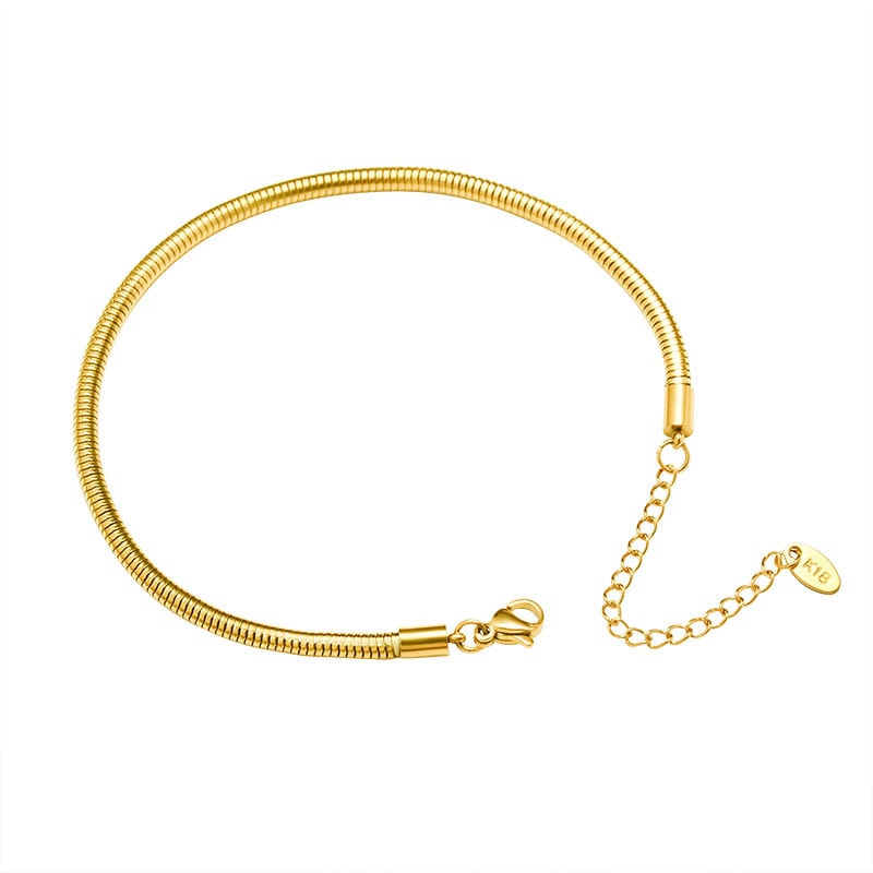 18K Gold-Plated Stainless Steel Snake Chain Anklet, image 1 of 6